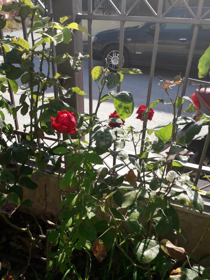 Roses Villa Skála Kallirákhis Exteriör bild